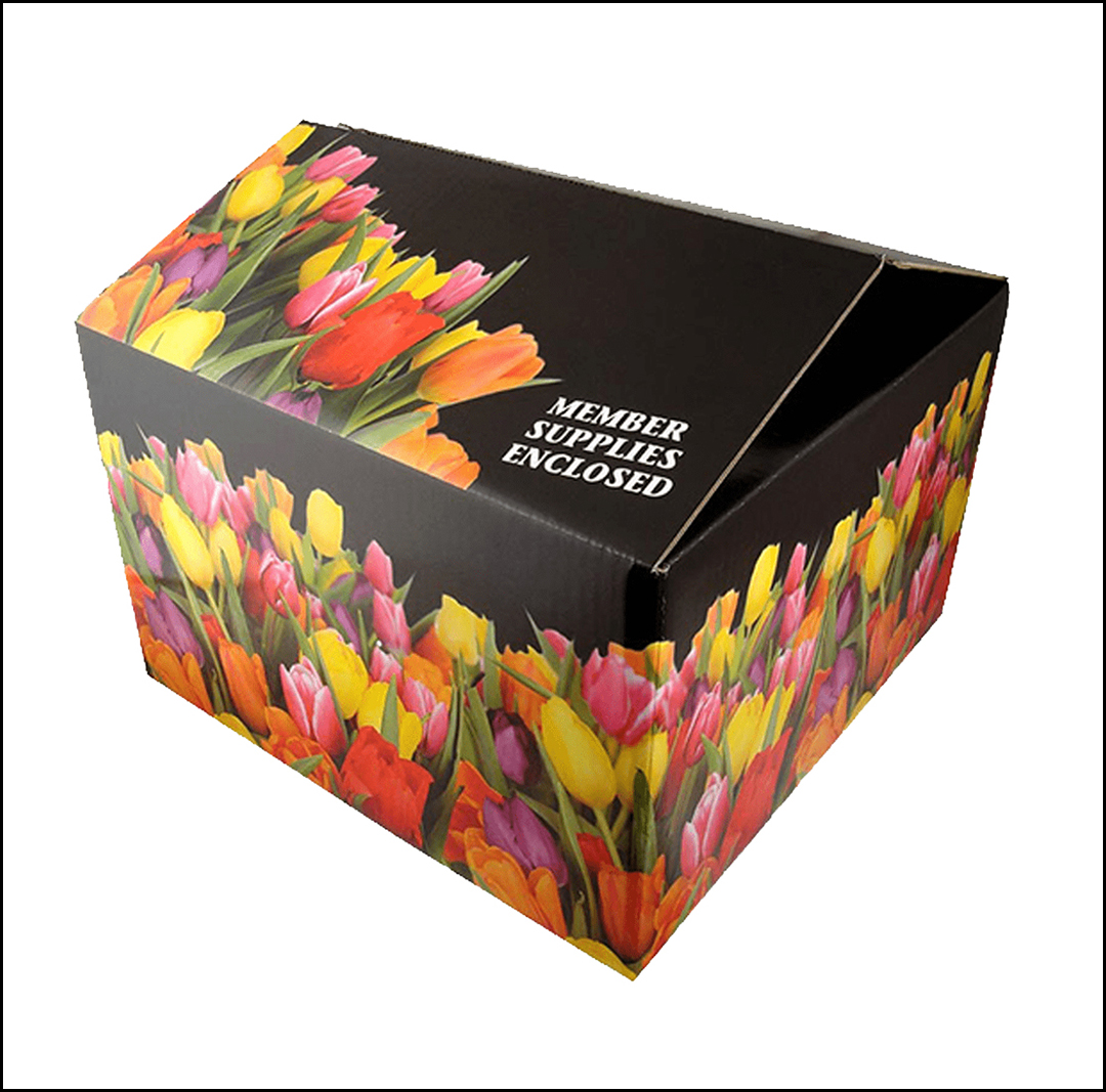 Printed Box